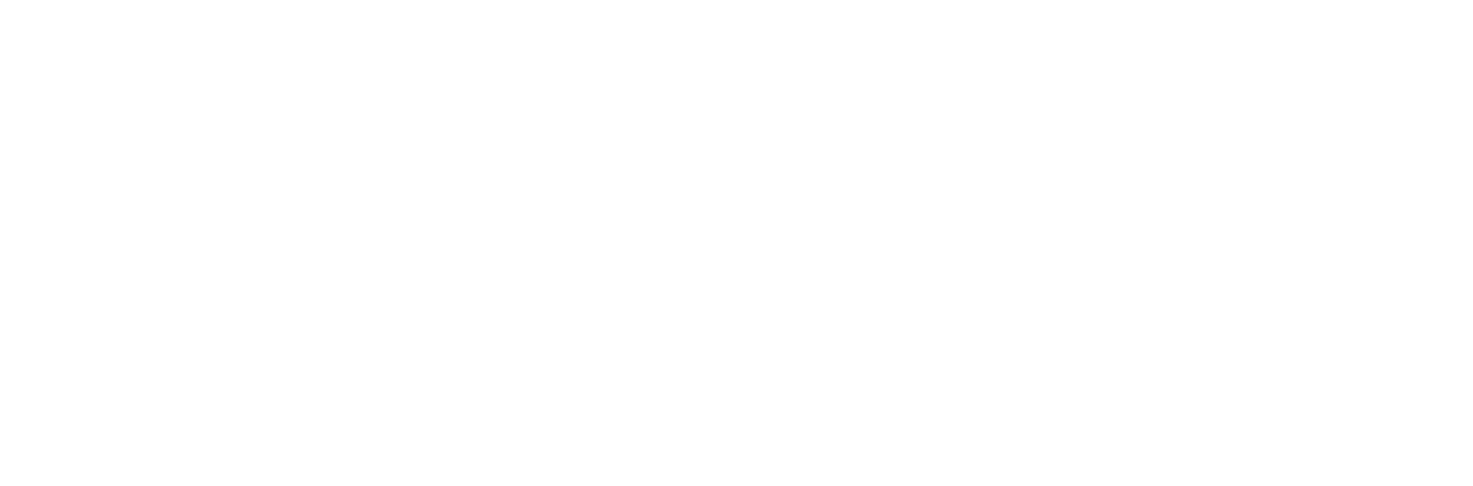 tehochemicals logo valk